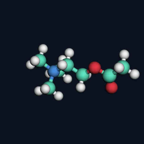 Acetylcholine