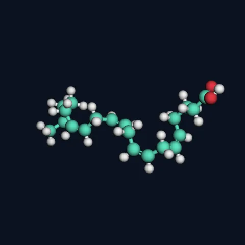 Arachidonic acid