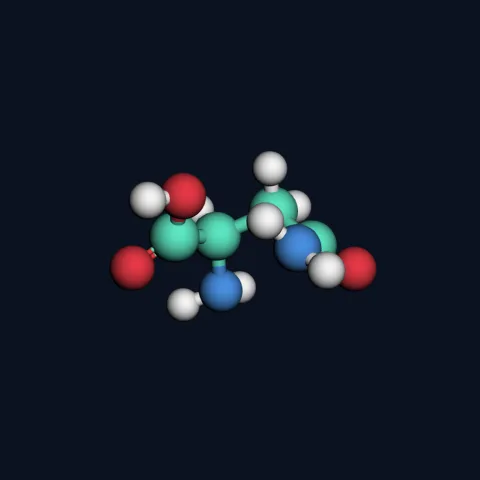 Asparagine