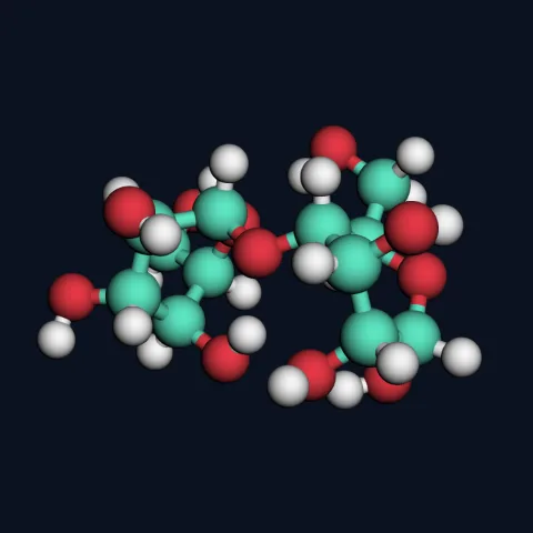 Maltose