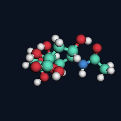 N-Acetylneuraminic acid